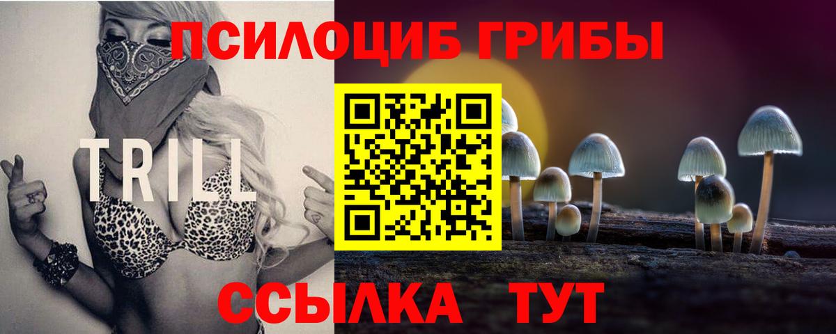 Унеча  Псилоцибиновые грибы MAGIC MUSHROOMS  Галлюциногенные грибы GOLDEN TEACHER  Вход с VPN 